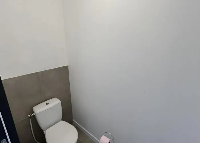 别墅 Maison Climatisee Avec Piscine